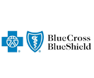 Blue Cross Blue Shield